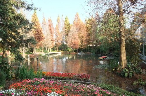 狗狗出遊〉彰化田尾．菁芳園（落羽松景觀餐廳）