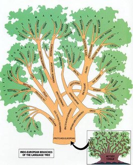 Indo-European languages - family tree