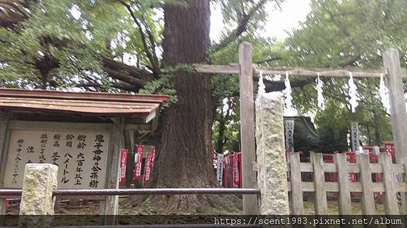 【東京開箱】沒有鬼角 安產祐民的溫暖鬼母「鬼子母神堂」！∣東