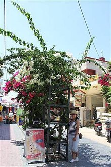 IMG_1156 (Medium).JPG