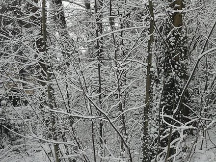 DSC02100