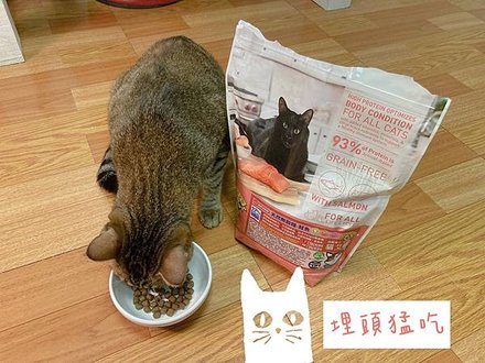 貓咪無穀飼料推薦Dr. Elsey&apos;s 貓艾歐♥