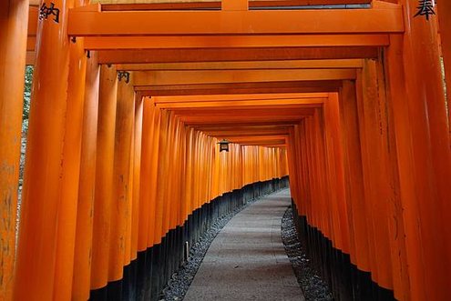 09D0B550-BF49-4DD8-BE15-EC077103DBC5.JPG