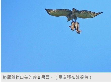 「熊鷹」是排灣族與魯凱族人部落傳說中祖先的化身，同時也是頭目