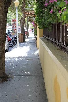 IMG_1155 (Medium).JPG