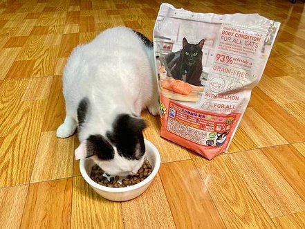 貓咪無穀飼料推薦Dr. Elsey&apos;s 貓艾歐♥