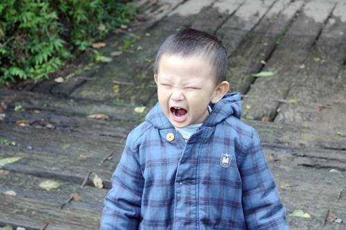 2011-12-17010.jpg