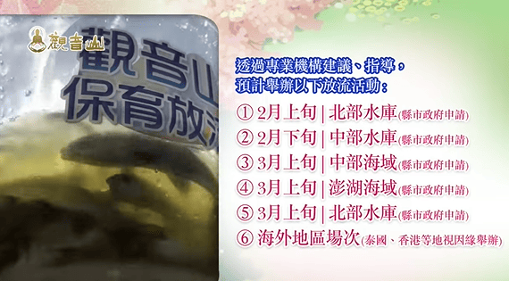 哪裡可以參與每月放生活動？觀音山最新2025放生活動訊息！