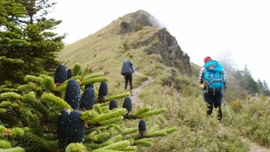 1010629~30桃山、喀拉業二秀兩天兩夜行程紀錄(第一天