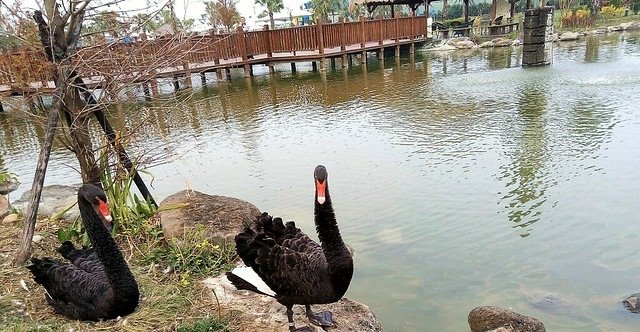 5092