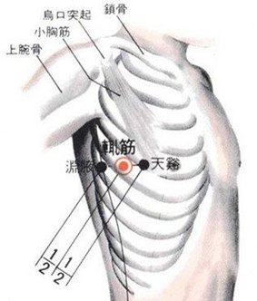 輒筋穴.jpg