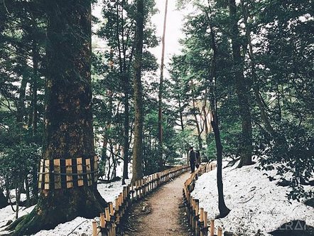 日本中部北陸地區-金澤市必去景點-兼六園-日本三大名園