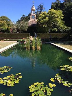 Autumn at Filoli Garden (7).jpg