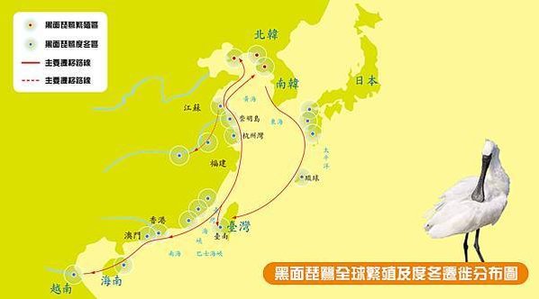 國際黑面琵鷺後援聯盟將茄萣溼地評定為國際級溼地、禁止在茄萣溼