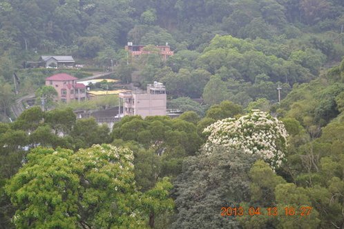 苗栗三灣鄉永和山水庫