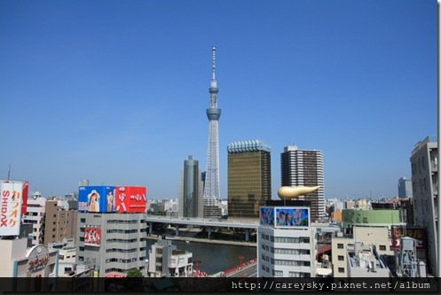 DPP_1544