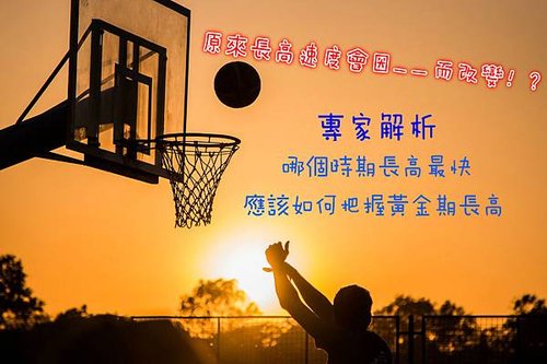 basketball-2258651_1920_meitu_1.jpg