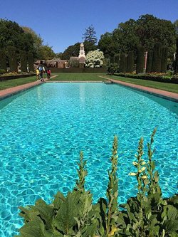 April at Filoli (28).jpg