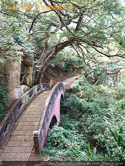 1110728-02馬祖 北竿 碧園 原生植物園(107)馬祖地區代表性植物。.jpg