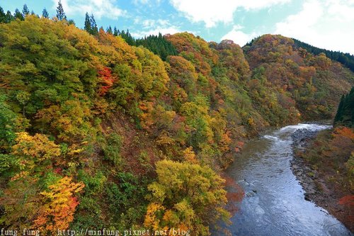 Akita_161103_0385.jpg