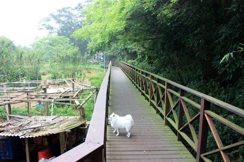 湖口天主堂劉銘傳『舊鐵道』遺址/湖口鄉劉銘傳鐵道/在糞箕窩溪