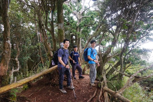 180317 [尖石] 高島縱走：高台山、小島田山、中島田山