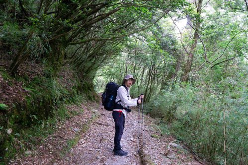 180608-0610 [百岳] 能高主峰、卡賀爾山、尾上山