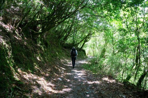 180608-0610 [百岳] 能高主峰、卡賀爾山、尾上山