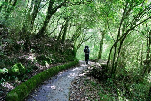 180608-0610 [百岳] 能高主峰、卡賀爾山、尾上山