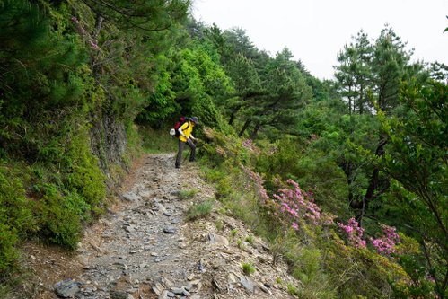 180608-0610 [百岳] 能高主峰、卡賀爾山、尾上山