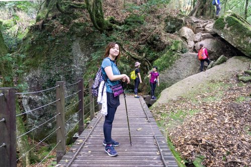 201121 [南庄] 加里山 5th 鹿場登山口往返