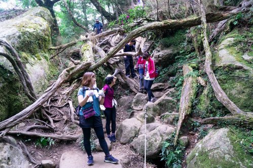 201121 [南庄] 加里山 5th 鹿場登山口往返