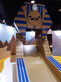 20180915_121637.jpg