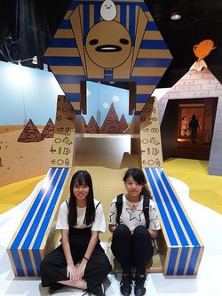 20180915_121758.jpg