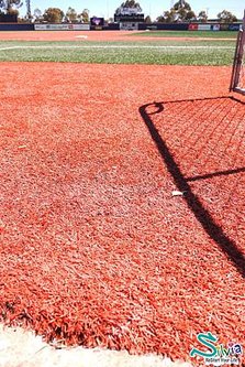 Melbourne Ballpark