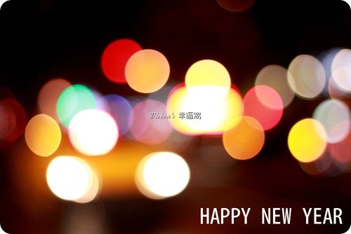 2013_happy-new-year