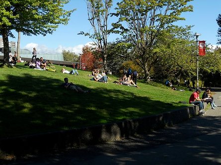 lawn at the sub2.jpg
