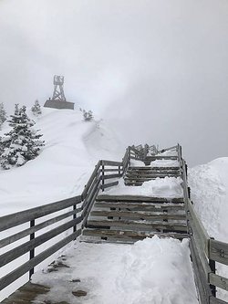 IMG_0261.JPG