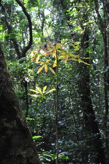 26-里龍山-.JPG