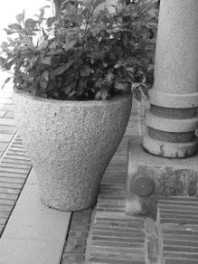 IMG_0264.JPG