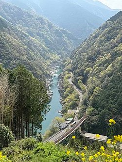 日本四國7日_Day2_小步危展望台_大步危峽谷觀光遊覽船_