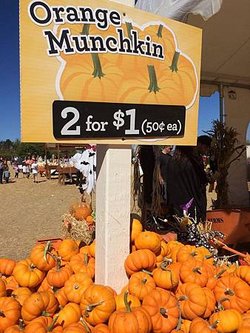 Uesugi Farms Pumpkin Park (3).jpg