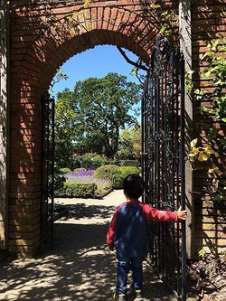 April at Filoli (20).jpg