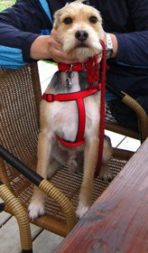 IMG_0130.jpg