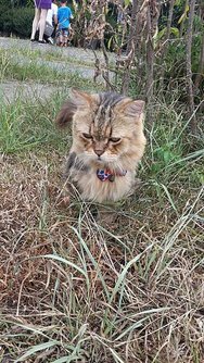 20150703_145911.jpg
