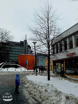 128438.jpg