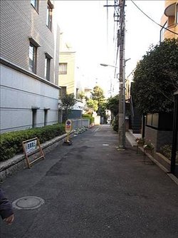IMG_4731