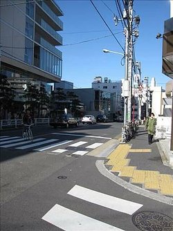 IMG_4681