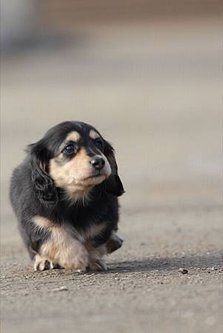 IMG_4777