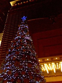 IMG0105A.jpg